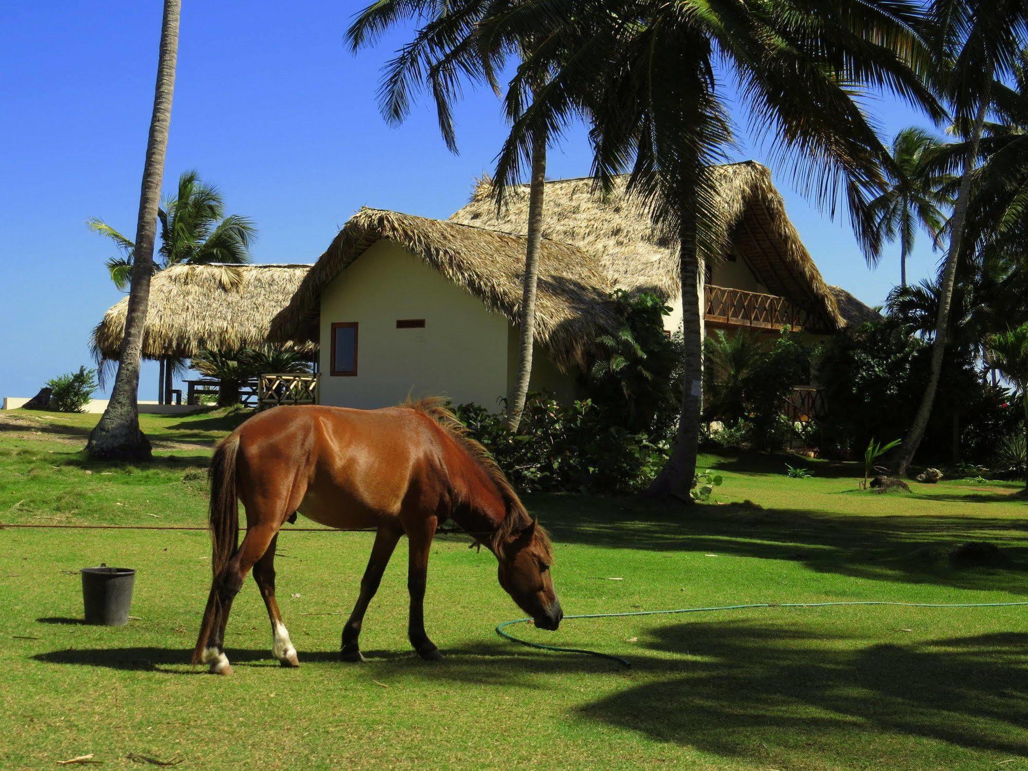 Villa Punta Coral Las Galeras Bagian luar foto